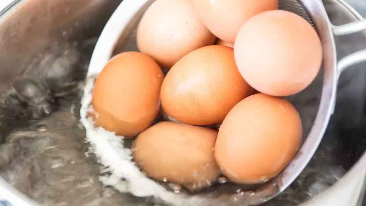 Aşçıların sırrı ortaya çıktı! Haşlanmış yumurtanın çatlamasını önlemek meğer bu yöntemle çok basitmiş
