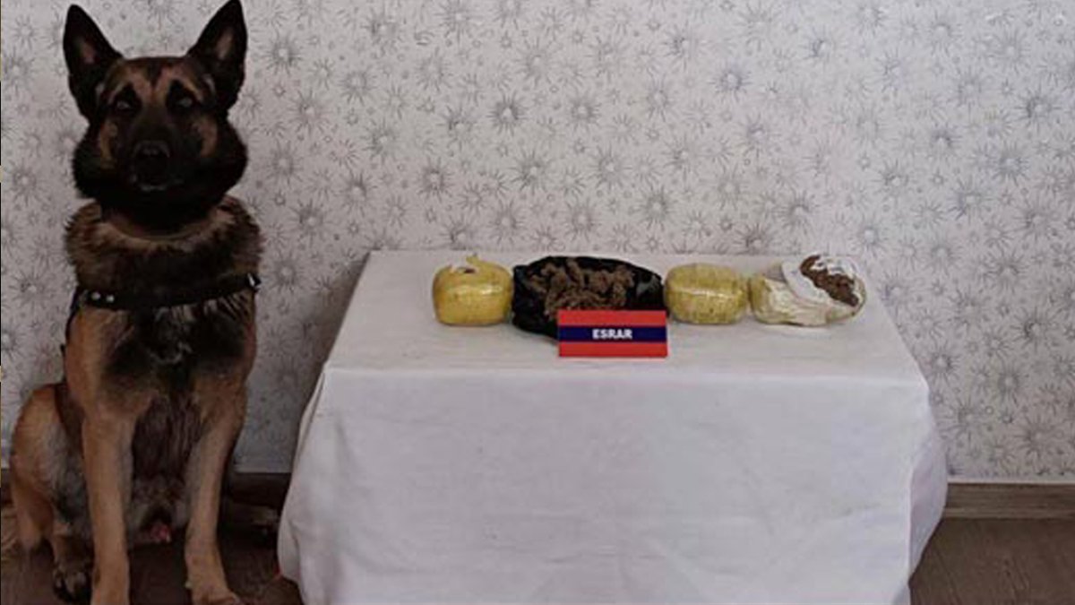 Yolcu otobüsünde ele geçirildi: Bebek maması kutusunda uyuşturucu!