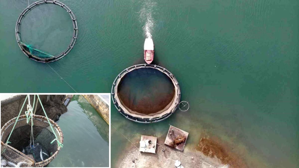 Denize kıyısı olmayan kentten 6 bin ton üretim! Onlar üretiyor Japonya, Rusya, Çin havada kapıyor…