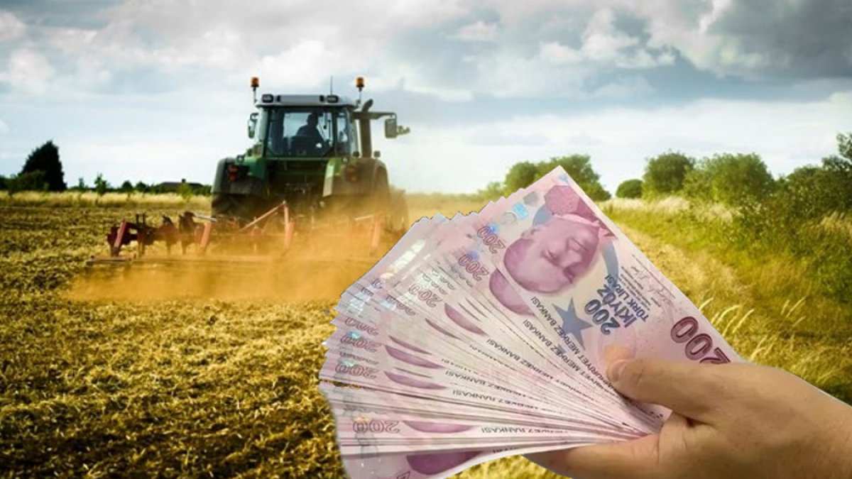 Çiftçiye müjde verildi! Gübre, tohum ve yem desteği için düğmeye basıldı! O şehirde yaşayanlar hemen başvuru yapsın