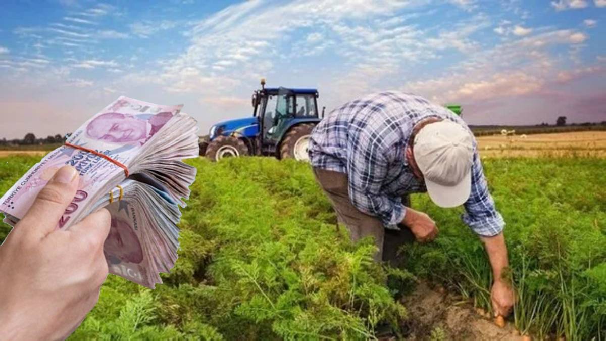 Çiftçiyseniz hemen kontrol edin! Başvurular yarın başlıyor