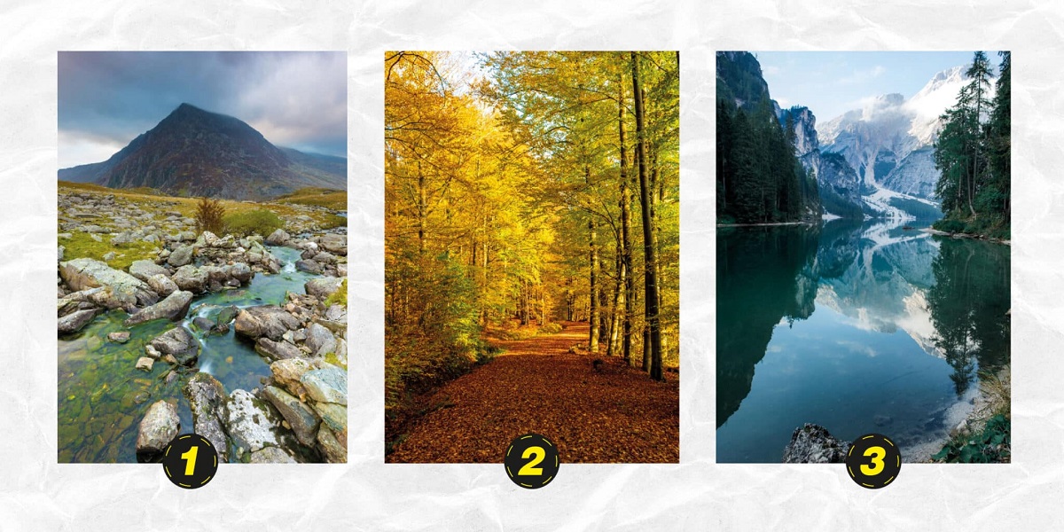 Kişilik Testi: Düşündüğünüz kadar dürüst müsünüz? Kontrol etmeye cesaretin var mı? Şimdi hemen deneyin