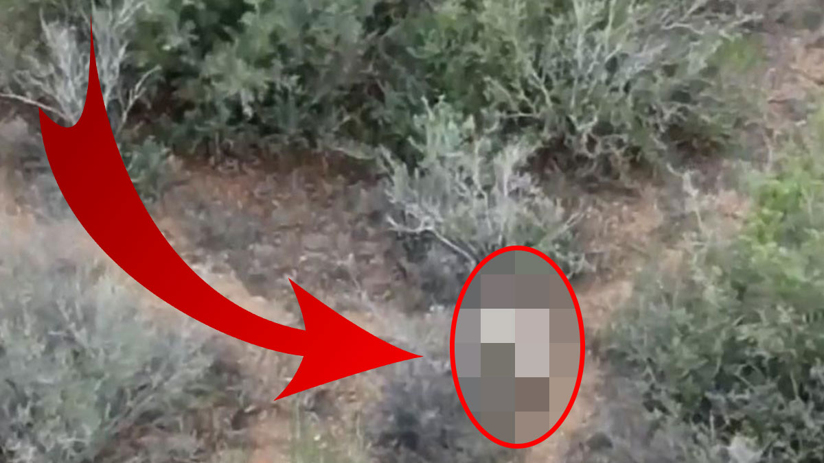 Vatandaşlar dağda fark etti: Bakanlık açıklama yaptı! Videosunu çekip yetkililere bildirdiler