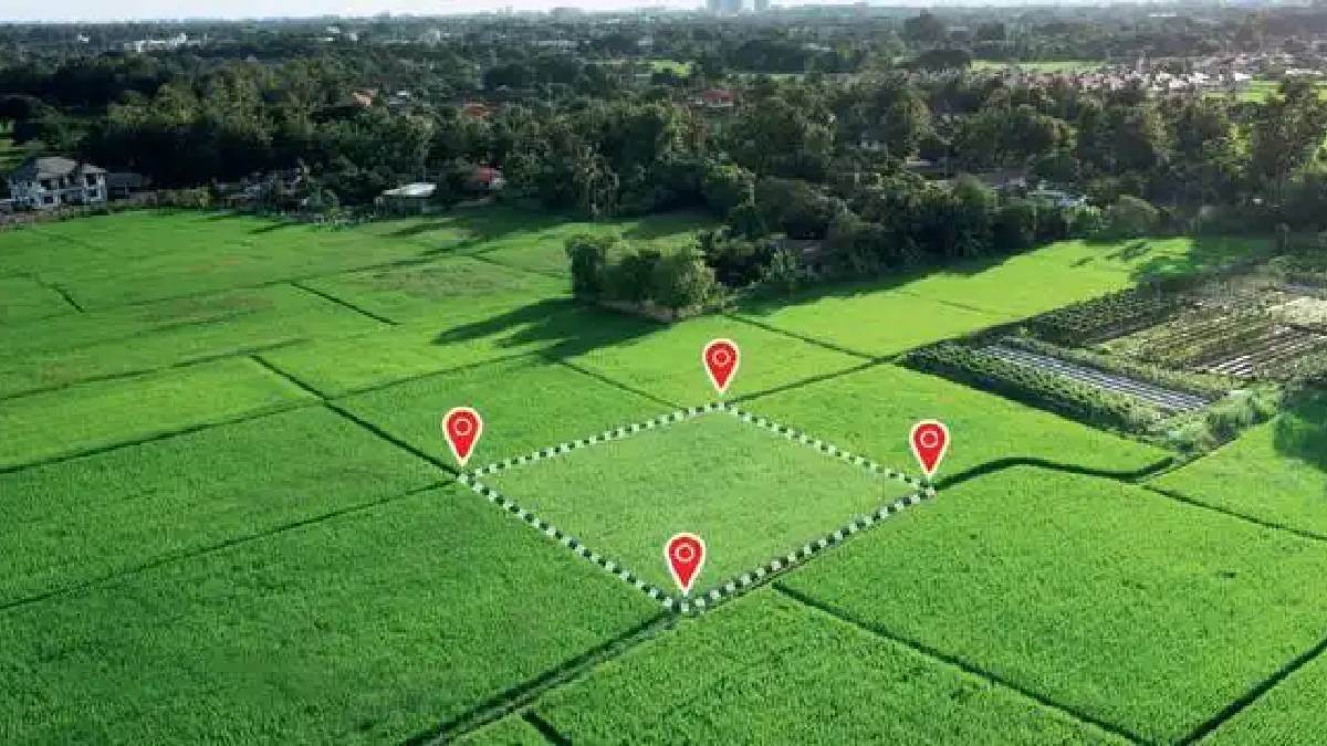 Milli Emlak’tan Şubat bolluğu! Bu sefer piyango o 3 ile vurdu: 10 bin TL’ye arsa tapusu elinizde