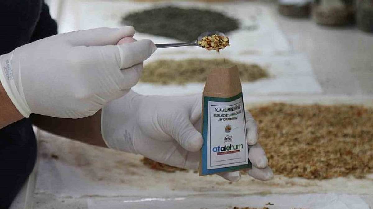 Norveç'in kıyamet ambarına rakip! İlk defa Karadeniz'de kuruldu: Türkiye'nin en büyük hazinesi orası olacak