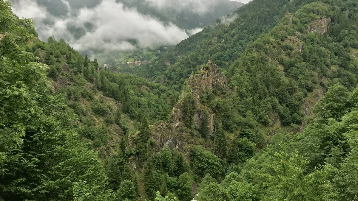 Yılın ilk 24 gününde büyük kayıp: 6 bin metrekareden fazla alan orman sınırları dışına çıkarıldı