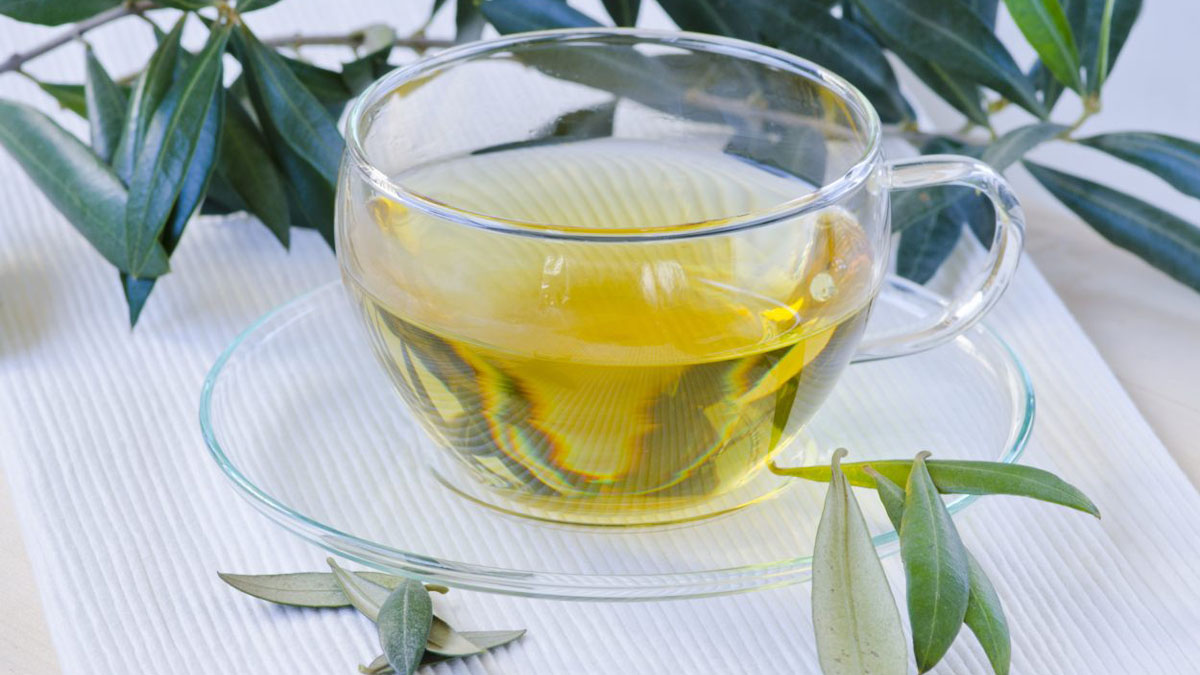 Zeytin yaprağı çayı
