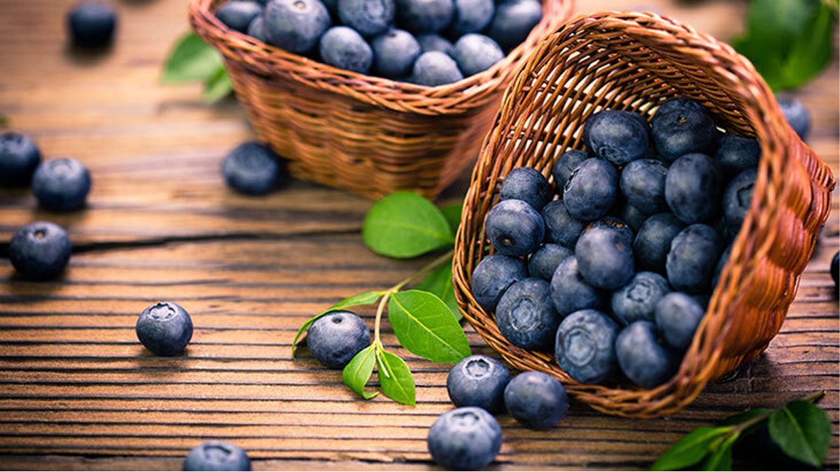 Yaban mersini faydaları