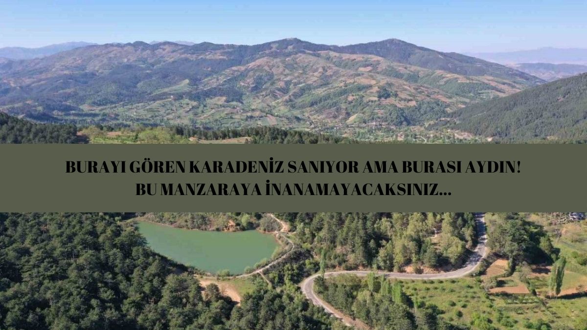 Şirince ve Ayvalık’ı unutun! Emekliler buraya gitmek için gün sayıyor: Zeytin ağaçlarının içindeki o köyde her gün tatil