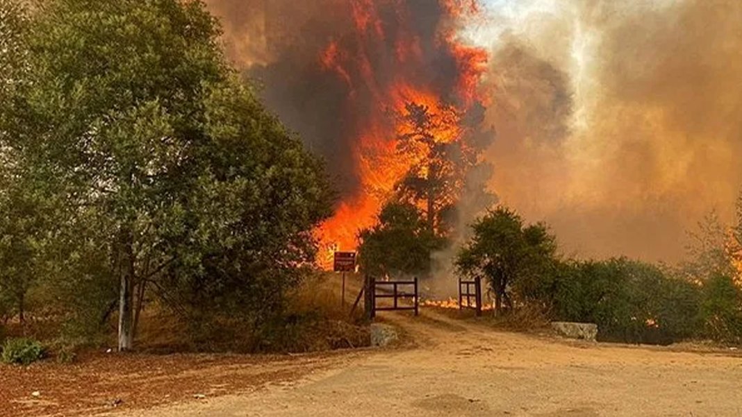 Şili'de orman yangınlarında ölü sayısı 112'ye yükseldi