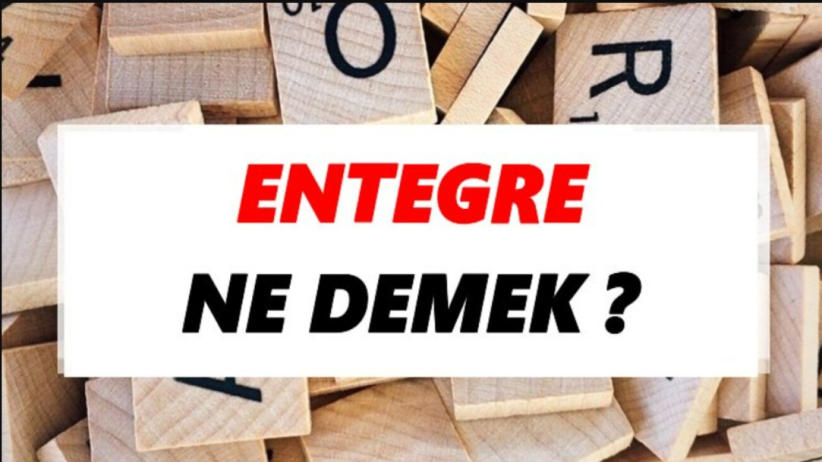 Entegre Ne Demek? - İşte Ayrıntılı Bir Bakış