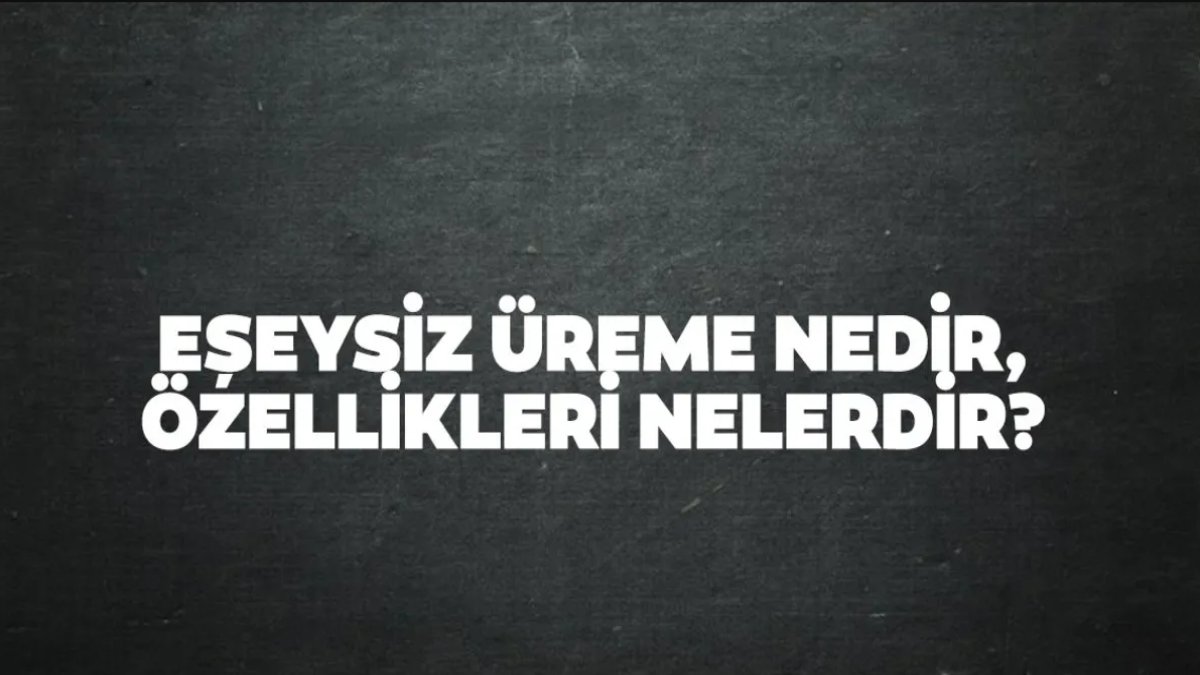 Eşeysiz Üreme Nedir: Doğanın Mucizesi