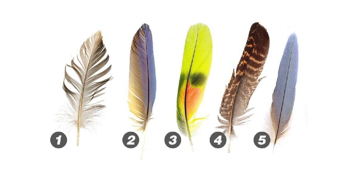 Kişilik Testi: Sosyal becerilerinizi keşfedin ve etkileşimin gücünden yararlanın! Sizde hemen deneyin...