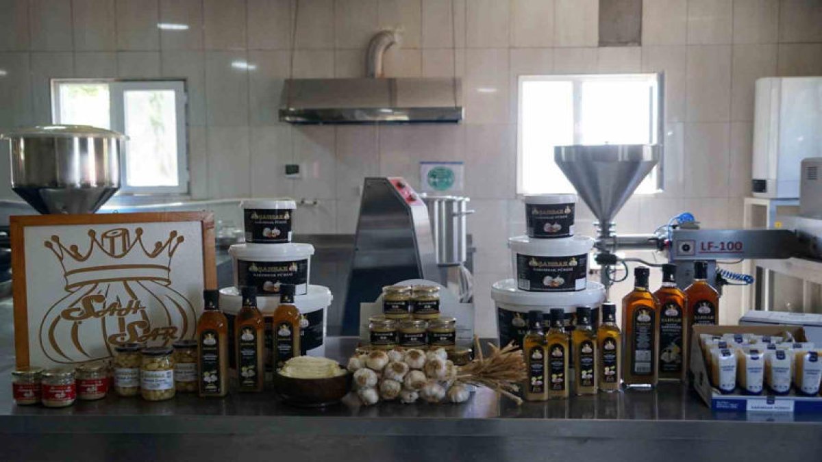 Türk usulü mayonez! Sofralarda artık ketçap ve mayoneze yer yok: Sarımsak püresi faydası ve tadıyla bir ilk oluyor!