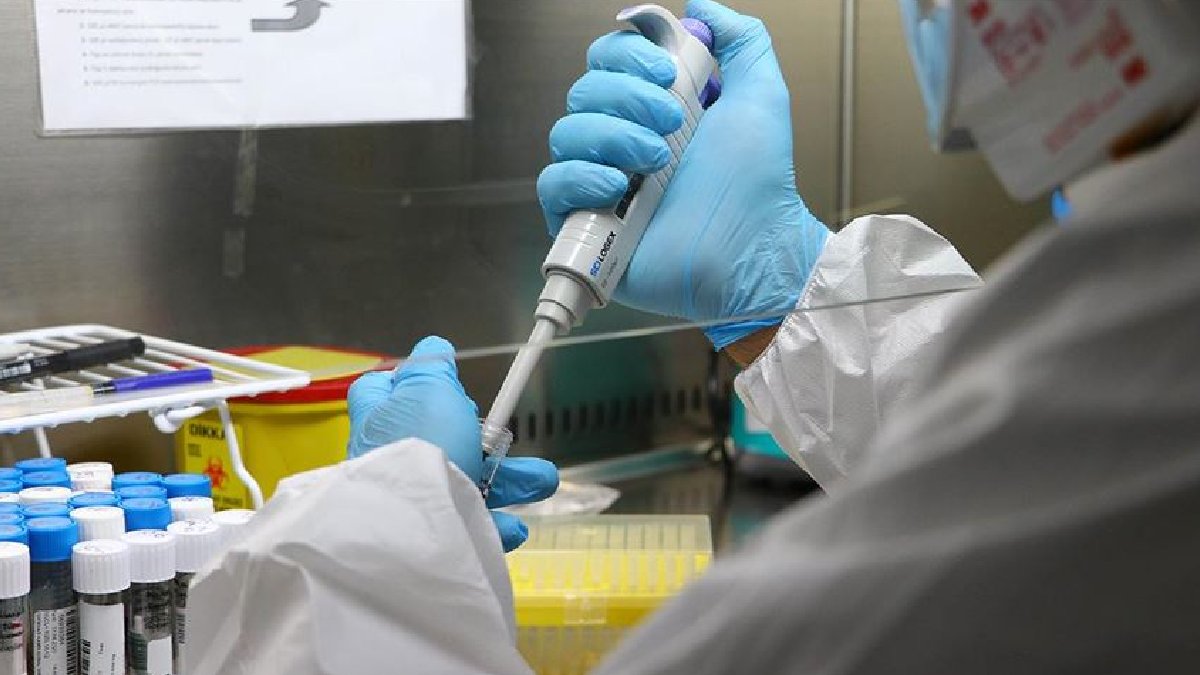 İsveç'te numuneleri saklayan soğutucuda arıza: Bir çok araştırma zarar gördü