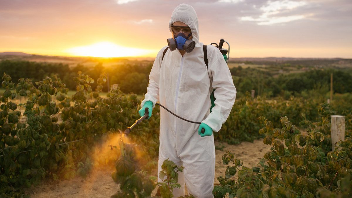 Yüzde 50 azaltma planlanıyordu: AB'den 'pestisite devam' kararı