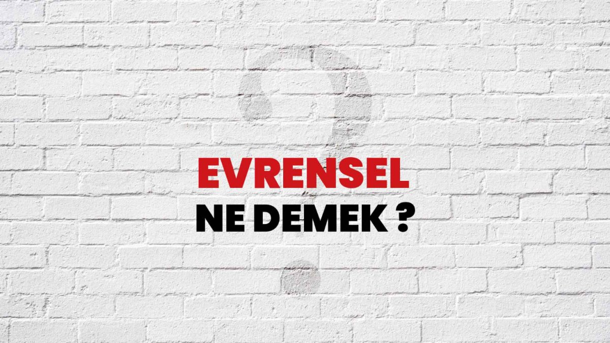 Evrensel Ne Demek: Herkesin Anlayabileceği Bir Tanım