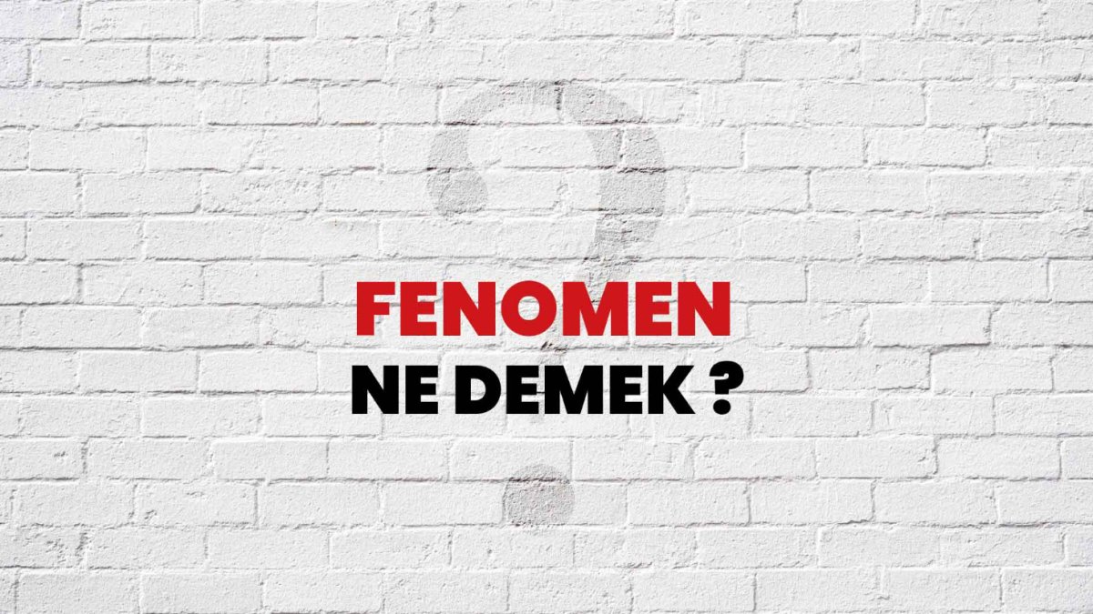 Fenomen Ne Demek? Türkçede Fenomen Anlamı ve Örnekleri