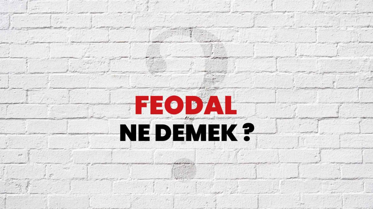 Feodal Ne Demek?