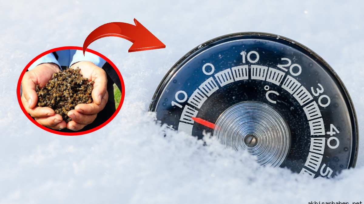 Havalar soğumadı binlercesi ölmeye başladı! Önce uykusuzluk sonra stres… Hiç hayra alamet değil