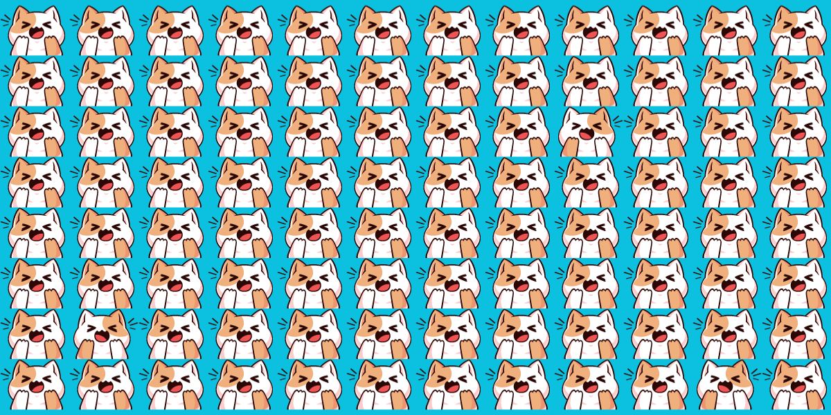 3 garip kediyi 20 saniyeden kısa sürede tespit edebilir misiniz? Bu testle kartal gözü yeteneklerinizi test edin!