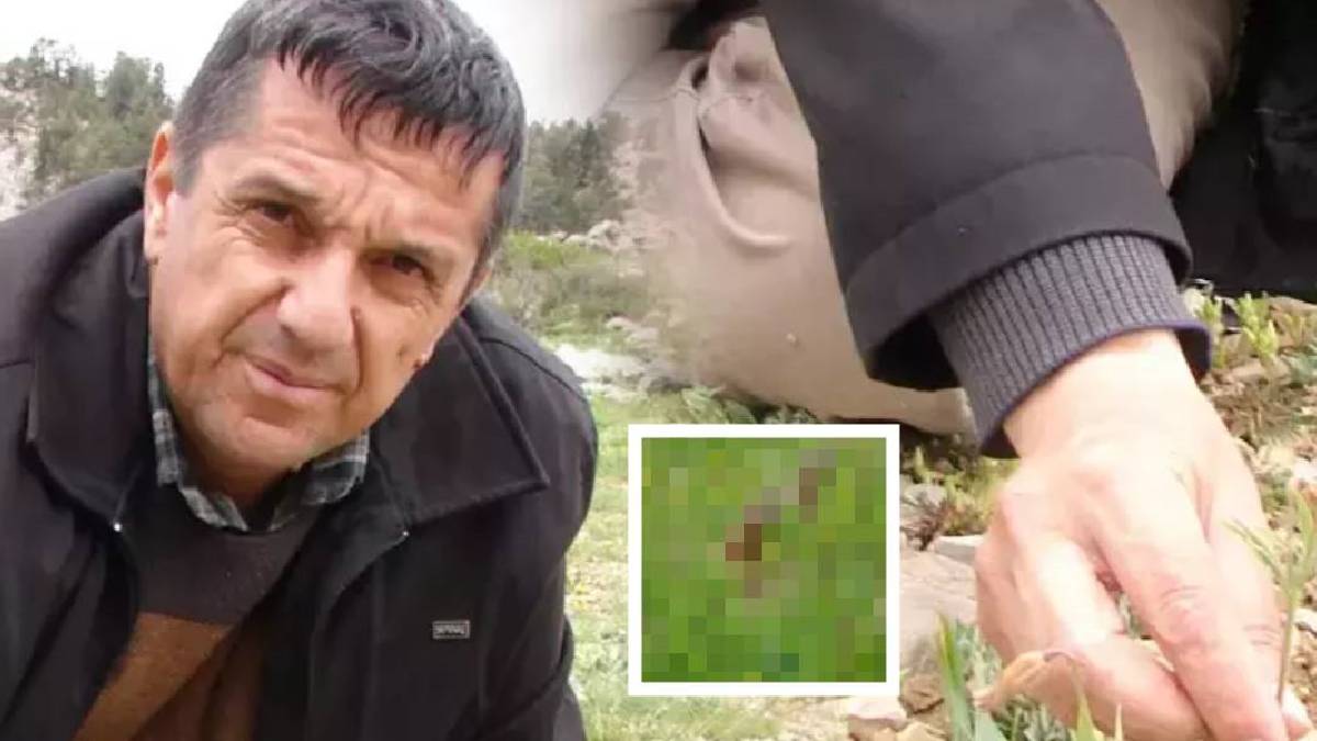 Yürüyüş yaparken dikkatini çekti hemen yetkililere haber verdi! Coğrafya öğretmeninden büyük keşif: Dünyadaki tek örneği buldu