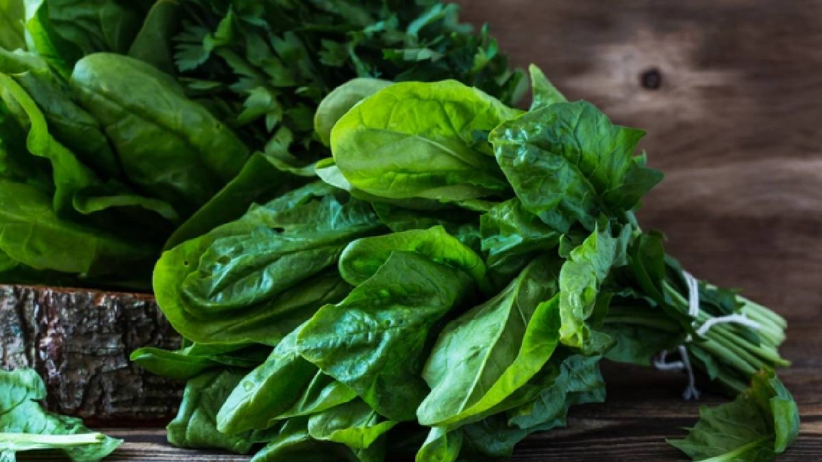 Ispanağı bu şekilde sakın tüketmeyin! Böbrekleri çürütüyor, bağırsakları bozuyor: Bir lokması bile burnunuzdan gelebilir