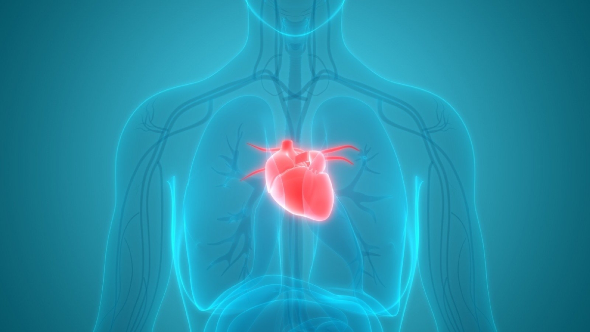 Angina Pektoris testi nedir?
