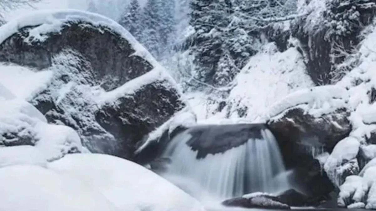 Sadece şahin gözlü olanlar görüyor! Bu fotoğrafta kutup ayısını bulabilecek misiniz? Bu testle gözlerinizi test edin