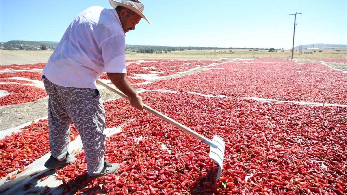 Türkiye’nin o şehrine uğrayan kilolarca almadan ülkesine gitmiyor! Müptelası başkasını yemiyor ama sonu ise acı acı bitiyor