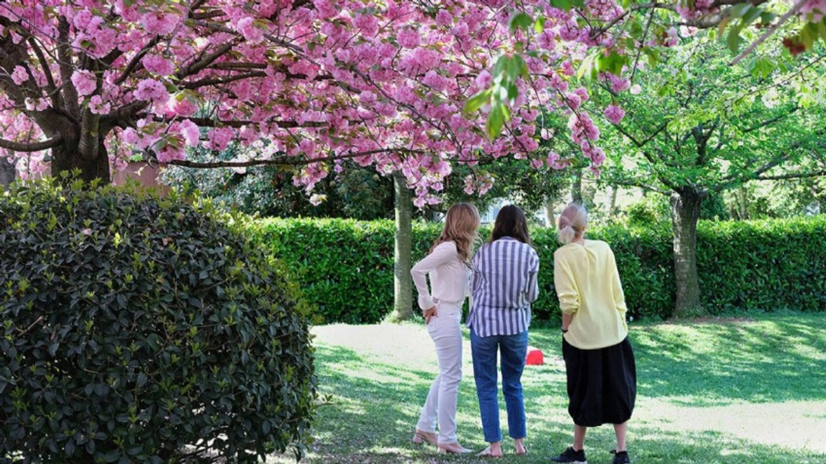 Meteoroloji yetkilisi açıkladı: Türkiye'yi baharda nasıl bir hava bekliyor?