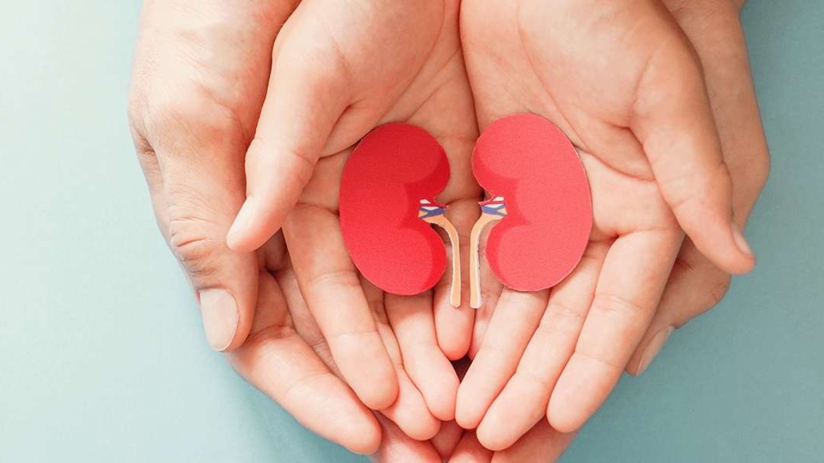 Böbrek sağlığını koruyan 8 altın kural