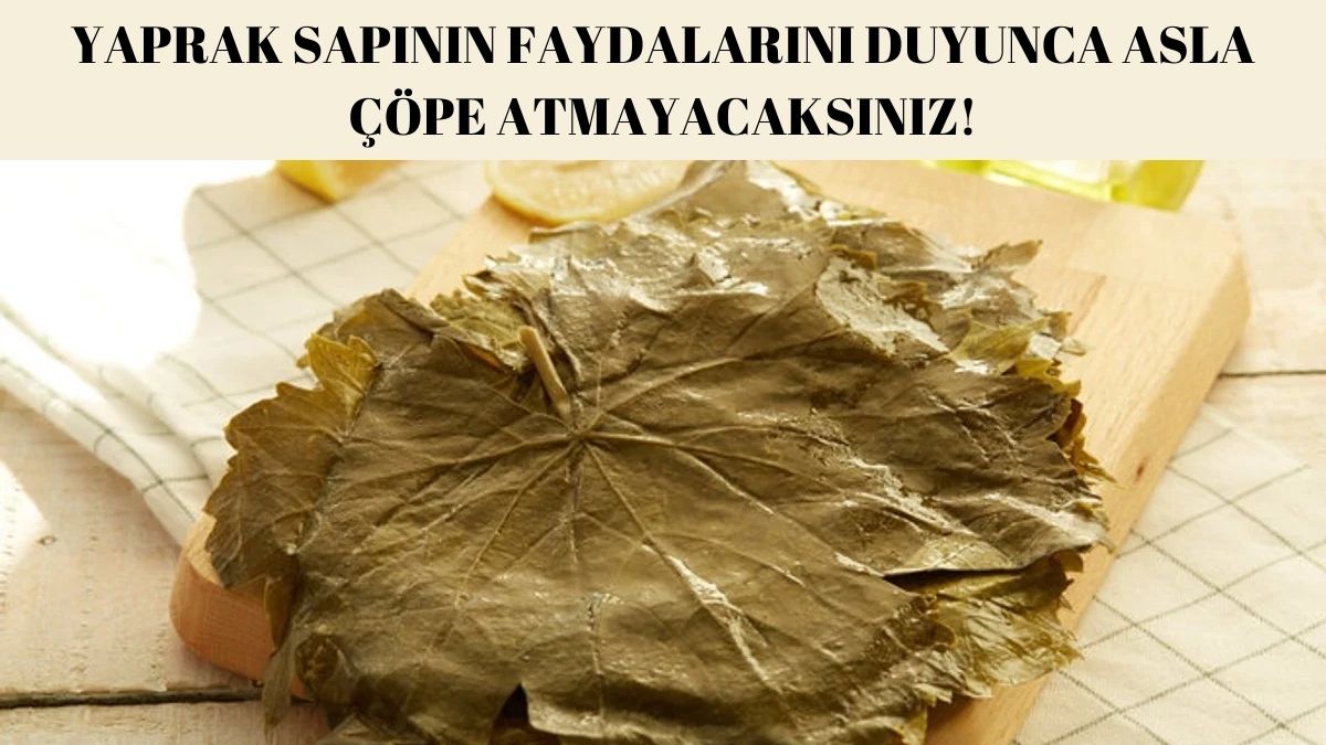 Sapı bile faydalı çıktı! Yaprak sararken sapını atan pişman olur: Bu faydalarını bilenler bir tanesini bile ziyan etmiyor