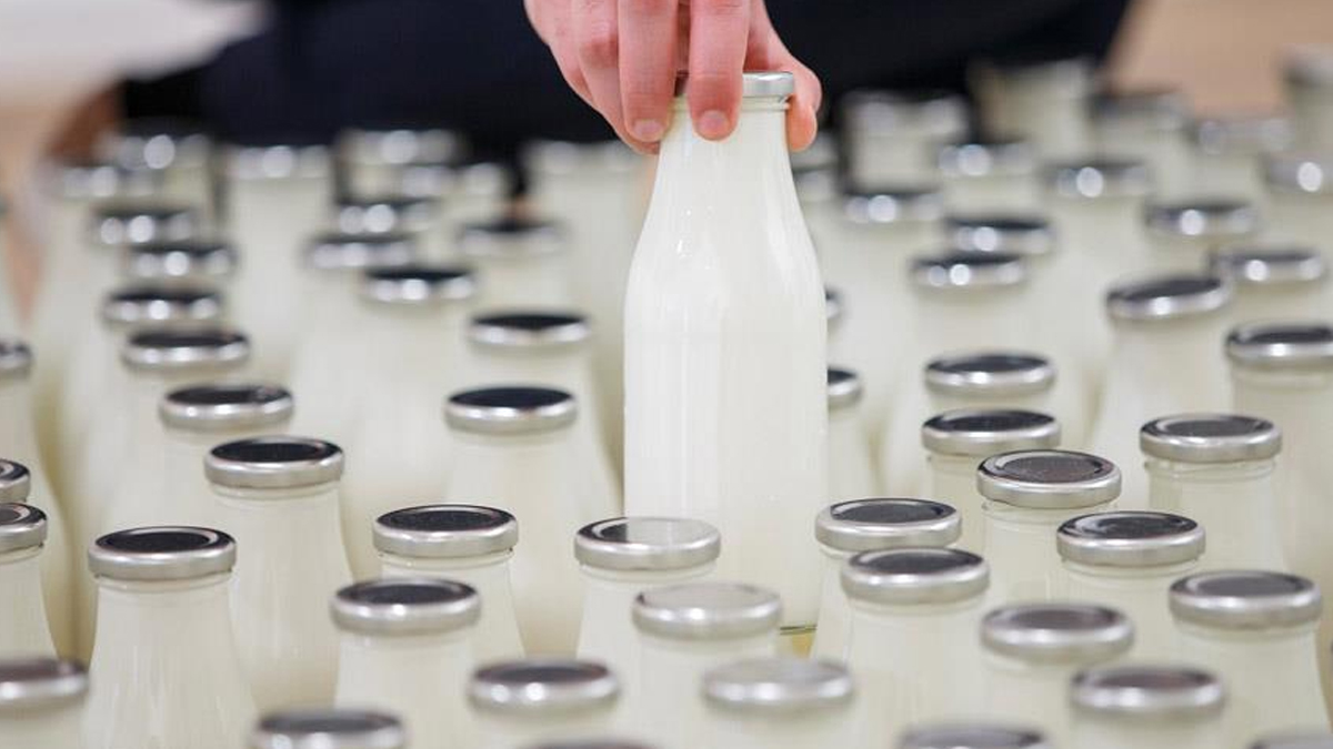 Bazı süt ve yoğurt ürünlerine yasak geldi