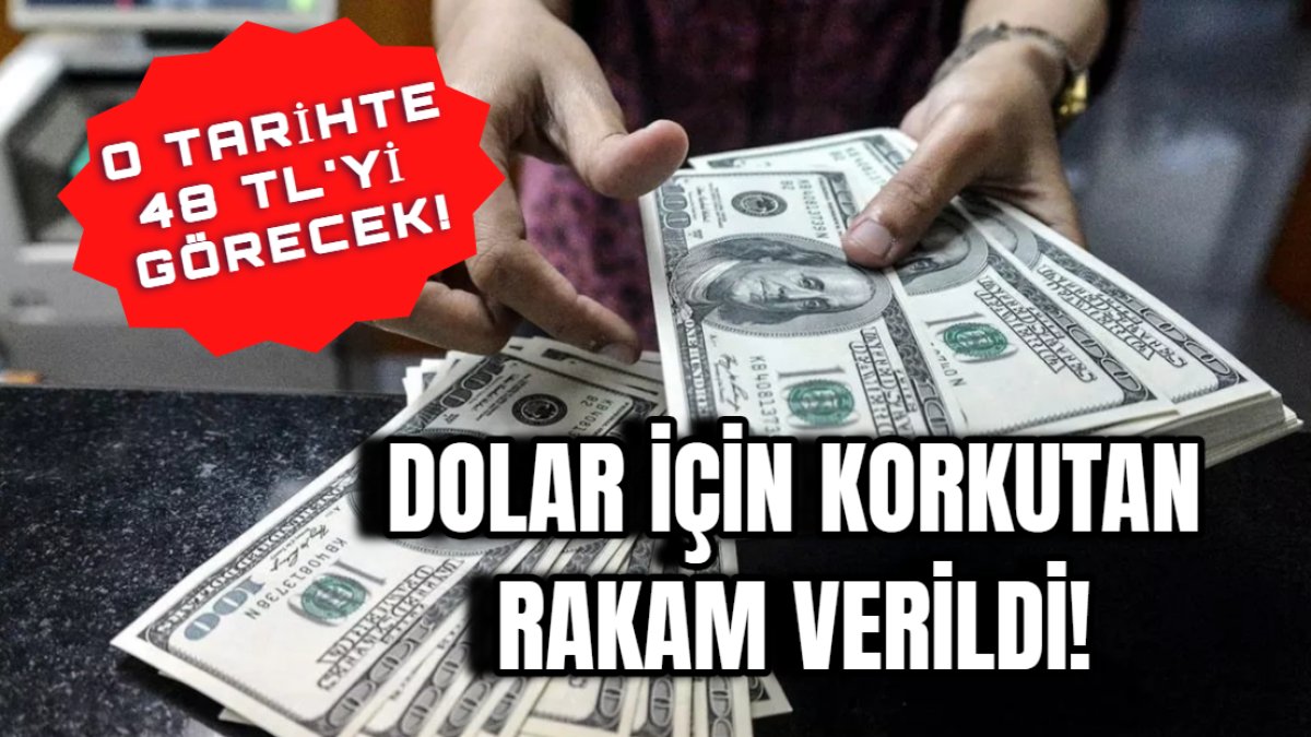 Korkutan tahmin: Dolar o tarihte 48 lirayı görecek!