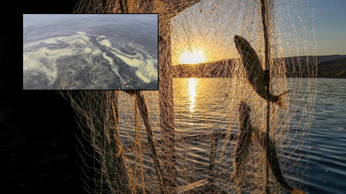 Uzmanlardan İstanbul Boğazı’nda balık avı uyarısı: Marmara Denizi'nin iyileşmesini engelliyor