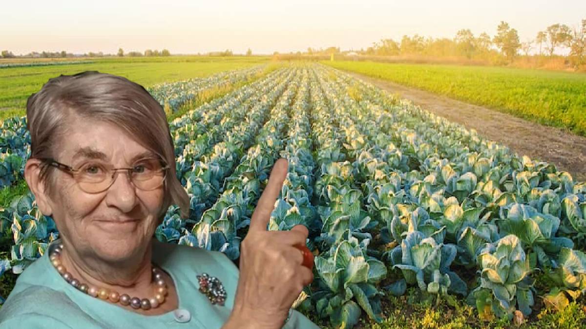 Canan Karatay 'Beyaz olanı' dedi çarşı pazar karıştı! Herkes tezgah tezgah onu arıyor! İster kavur ister salamura yap