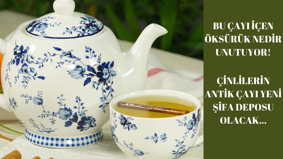 Çinlilerin antik çayı ortaya çıktı! Geleneksel tıbbın yeni mucizevi gücü: Bunu içenin yanına öksürük uğramıyor…