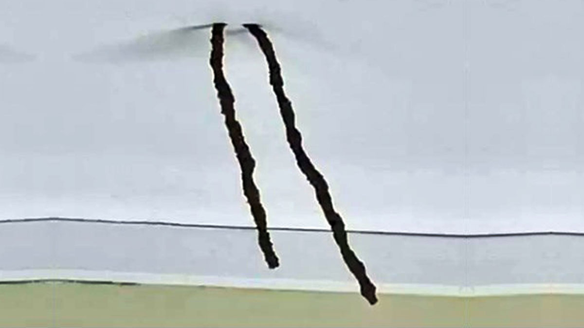 Kiraladığı eve girince şaşkına döndü: Kahverengi çubuk şeklinde! Ne olduğunu öğrenince hemen harekete geçti