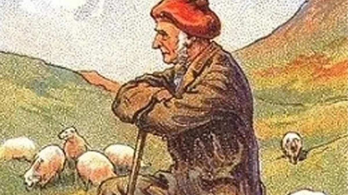 Bu resimde gizlenen köpeği bakan da göremiyor! 10 saniyede bulmayı başaran süper zeki çıkıyor