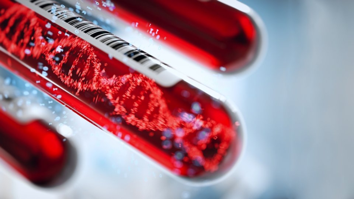 Eritrosit (Rbc) testi nedir?