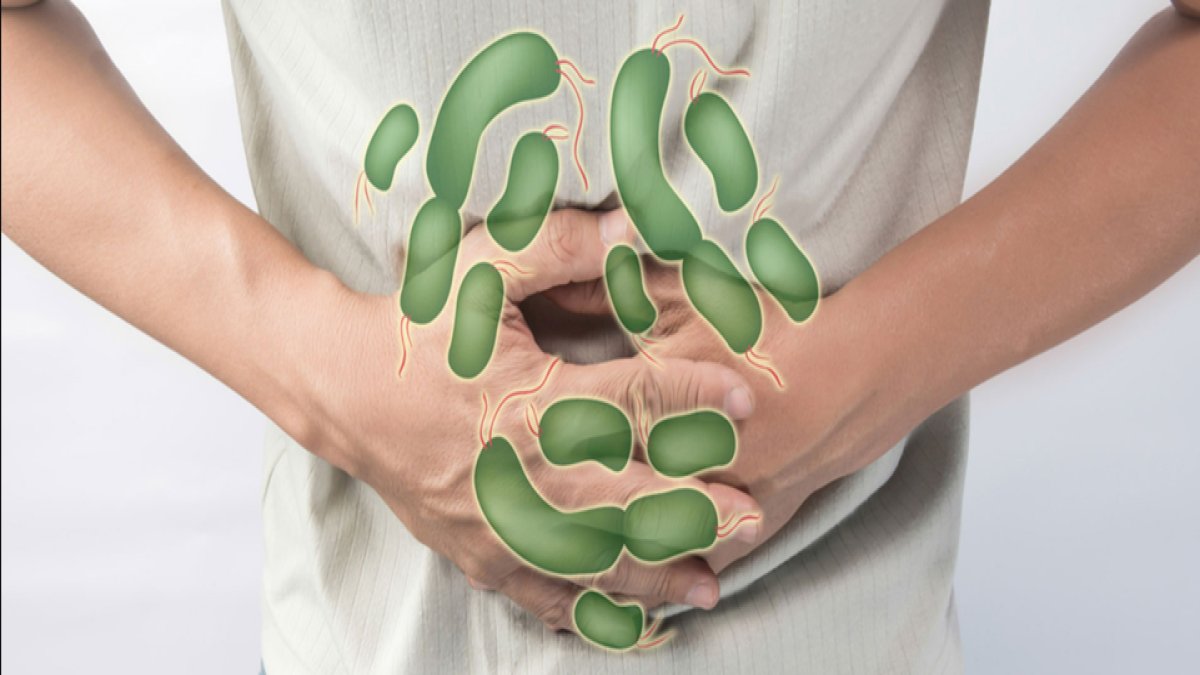 Gıda Zehirlenmesine Ne İyi Gelir?