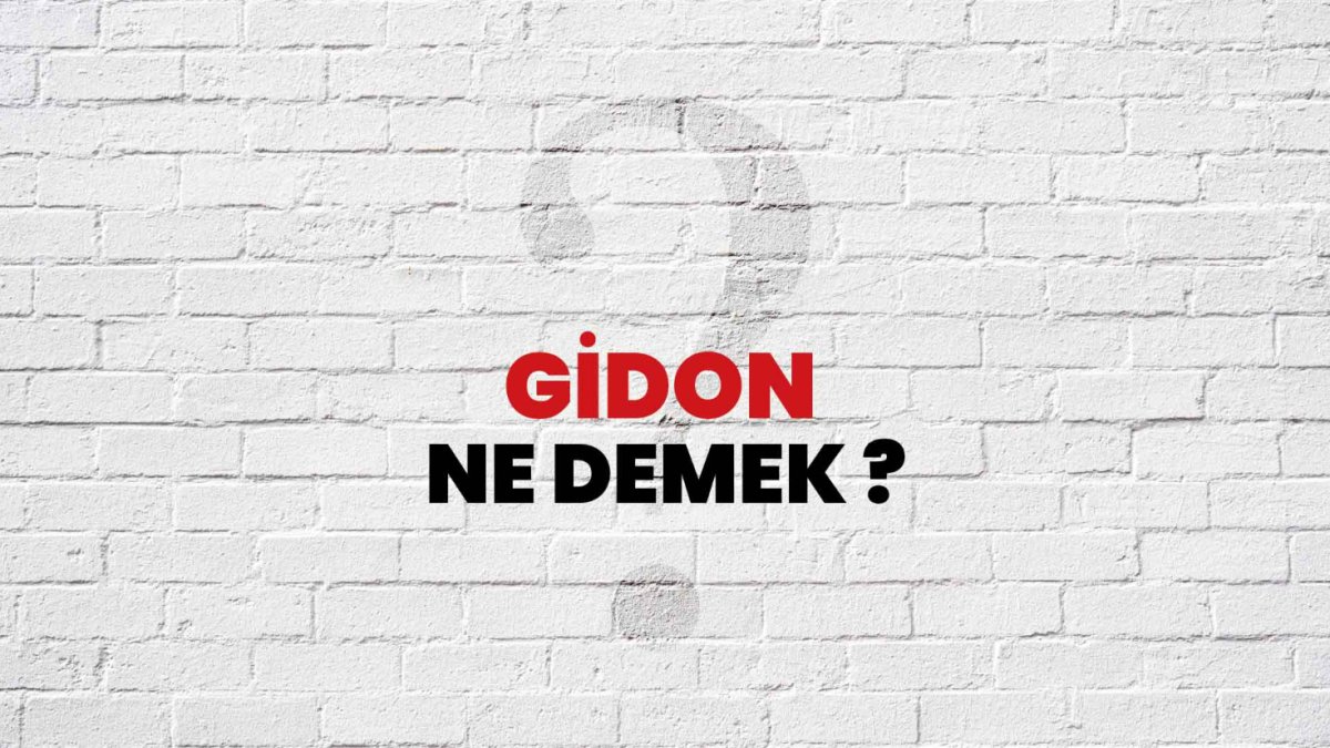 Gidon Nedir?