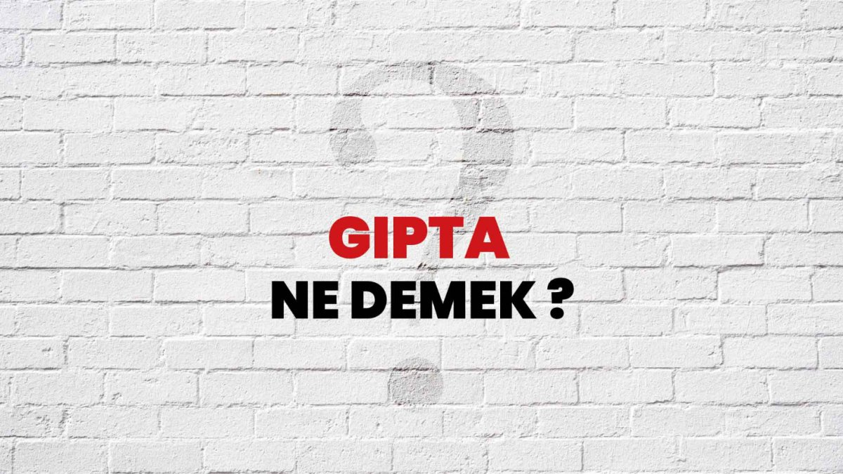 Gıpta Ne Demek?