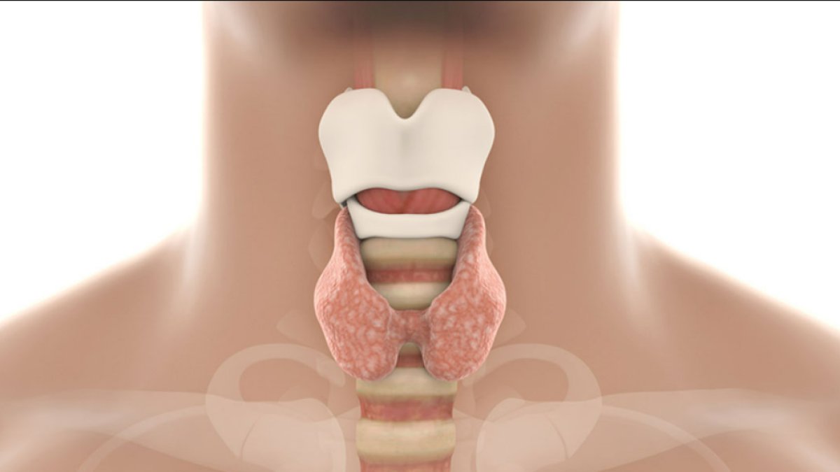 Gırtlak Kanseri: Nedir?