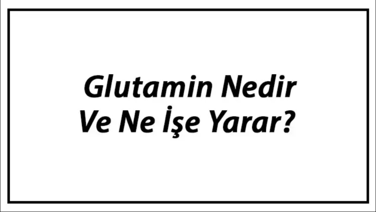 Glutamin Ne İşe Yarar?