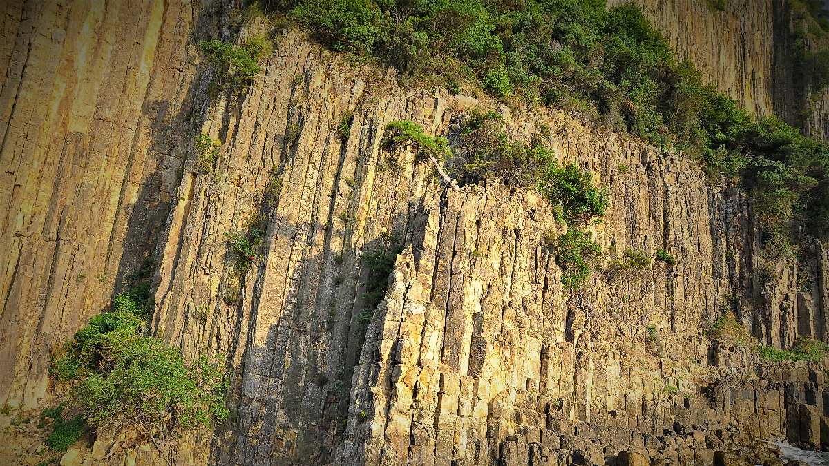 5 milyon yaşında ortaya çıktı! 20 metre yüksekliğinde… Yıllara meydan okuyor herkes onu görmek için o şehre gidiyor