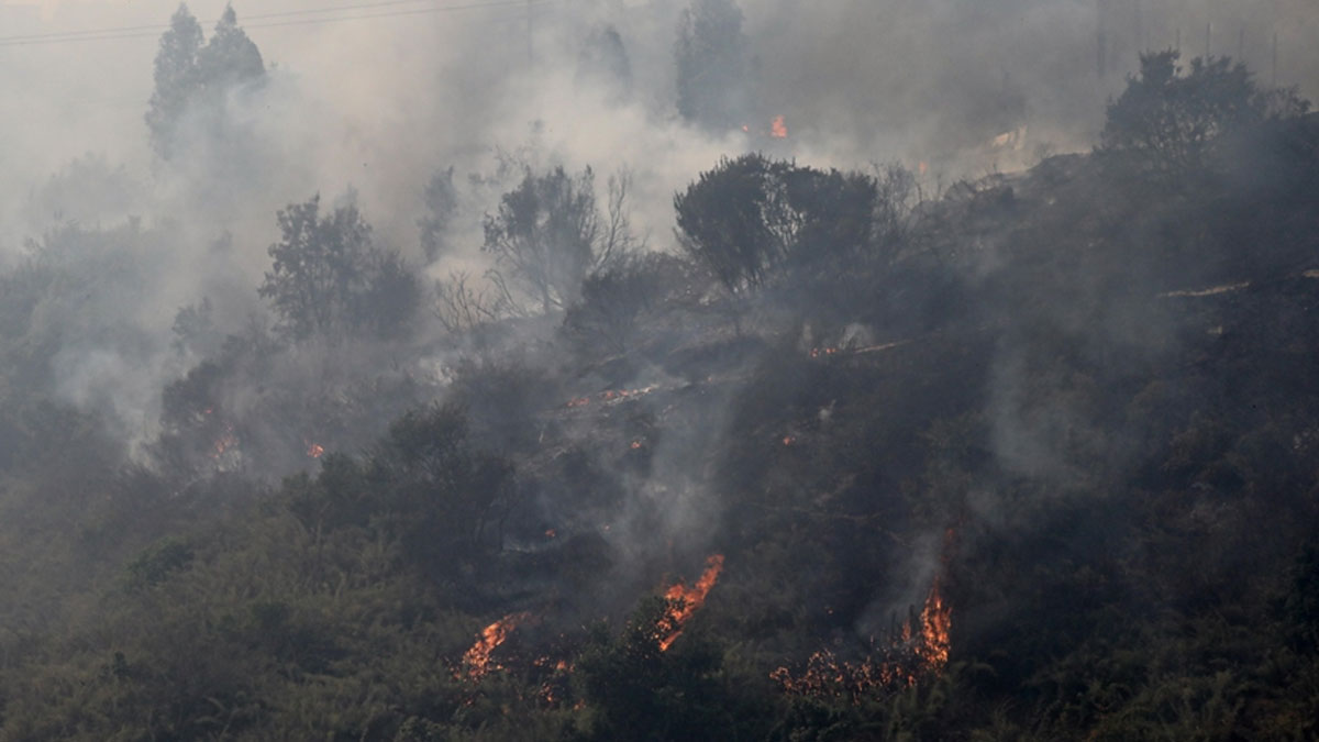 Şili'de orman yangınları devam ediyor: Hayatını kaybedenlerin sayısı 132'ye yükseldi