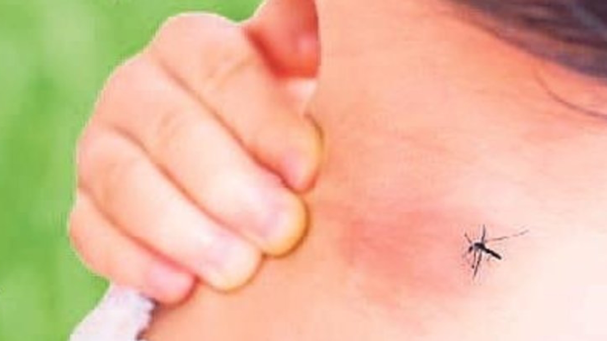 Hayvan ısırıklarına karşı alınacak önlemler