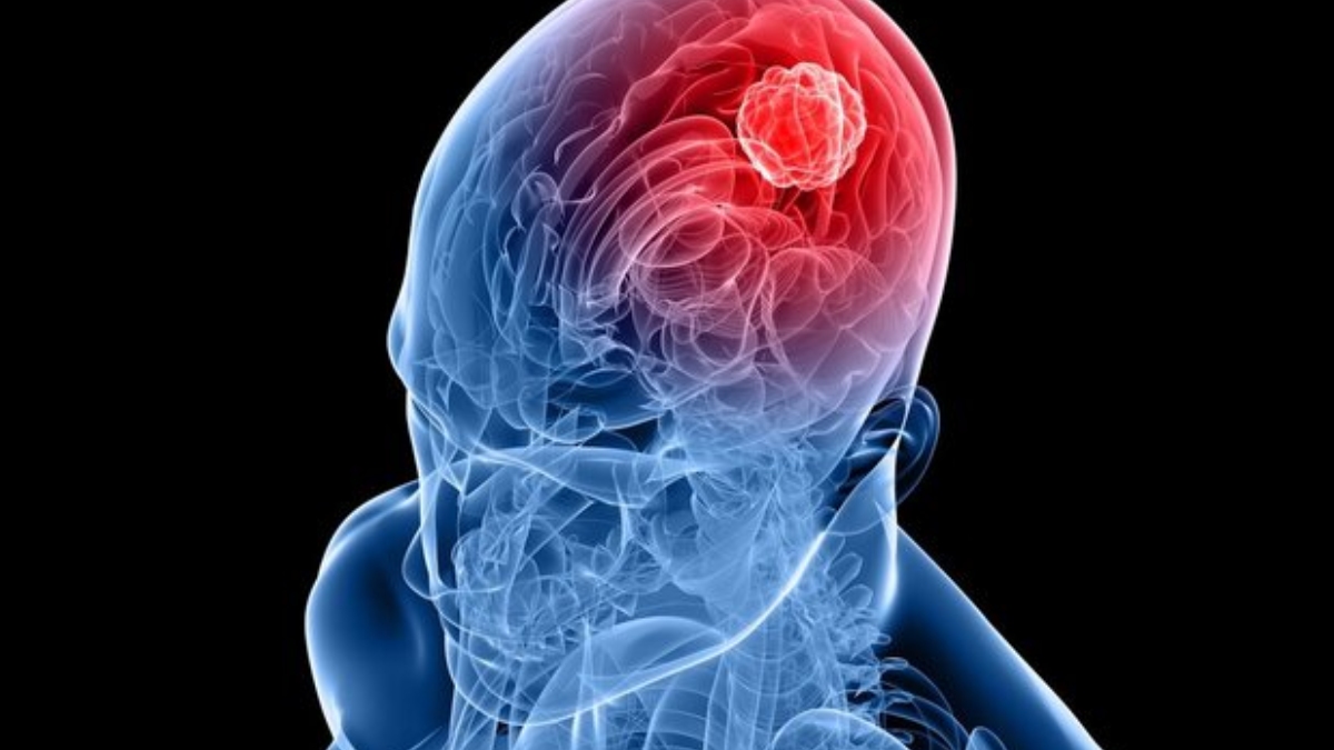 Hormon nedir? Çeşitleri nelerdir? İşleyişleri nasıldır?